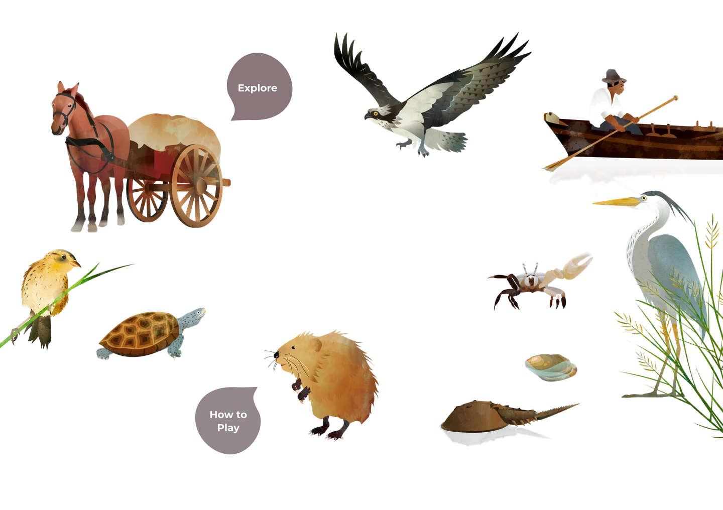 Illustrations from the kiosks. A horse and hay cart, an osprey, a man rowing a boat, a heron, a sparrow, a turtle, a muskrat, a fiddler crab, a clam and a horseshoe crab, with speech bubbles reading Explore and How to Play.